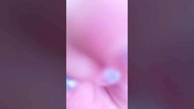 1000005494.mp4 смотреть онлайн