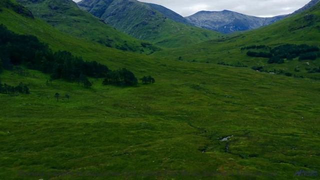 Камера и трек сливаются в безупречный поток красоты - Chainlink Melody -- Podington Bear -- Said Lio