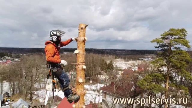1000407832.mp4 смотреть онлайн