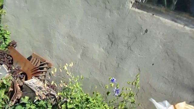 32. Виноград после града и ливня. Налив ягод на 3 июля 2025 г. смотреть онлайн