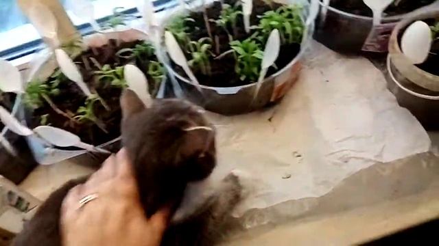 ВРЕДИТЕЛЬСТВО!!!