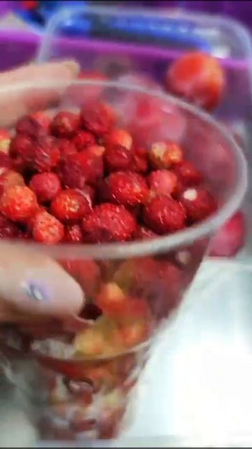 Лесная земляника