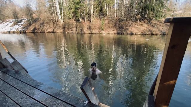 День 90. stop dog, where are you going