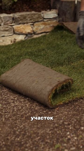 Газон как у богатых — но доступный каждому! смотреть онлайн