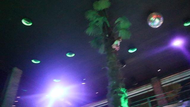 ГРИН БАР ДИВНОМОРСКОЕ ИЮЛЬ 2025