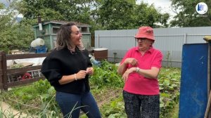 Дачный сезон