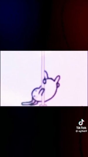 На жопе жопа