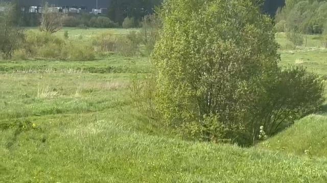 ЗУ :1837 д. Кочугино смотреть онлайн