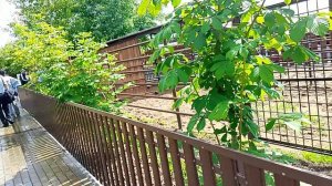 Поездка в зоопарк 3 [Сериал ХАГГИ ВАГГИ И ЕГО ДРУЗЬЯ] 78 серия