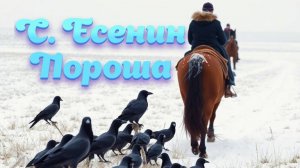 Песня на стихи Есенина - Пороша