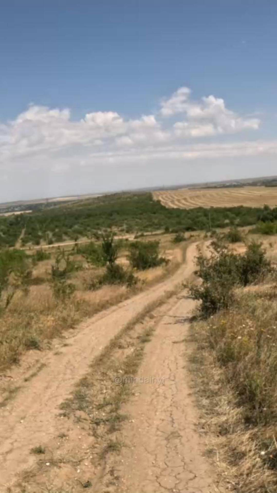 Скошенное сено