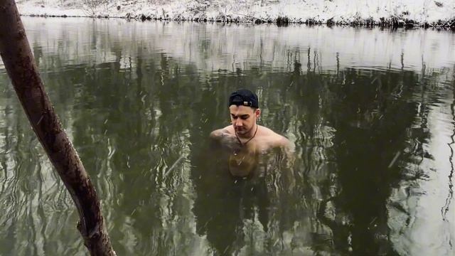 День 84. stop dog, where are you going