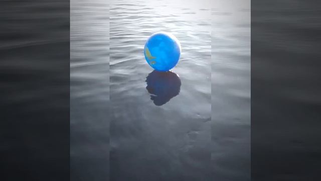 шарик смотреть онлайн
