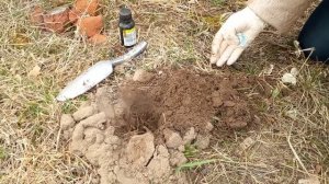 ВРЕДИТЕЛИ НА ОГОРОДЕ: Крот и водяная крыса. Кто опаснее? Как бороться?? СМОТРИТЕ ПОДРОБНО В ВИДЕО!!!