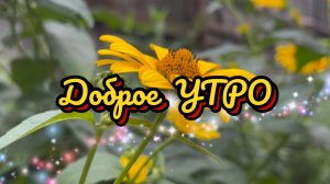 Доброе утро. Подари мне солнце и новый день. Песня с добрым утром