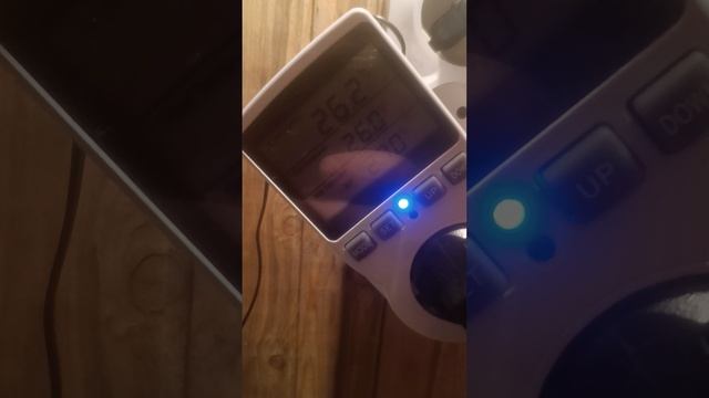 цыплята начало