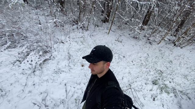 2 мая. Выпал снег. stop dog, where are you going