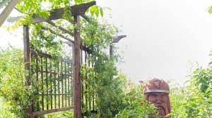 Пергола своими руками из дерева