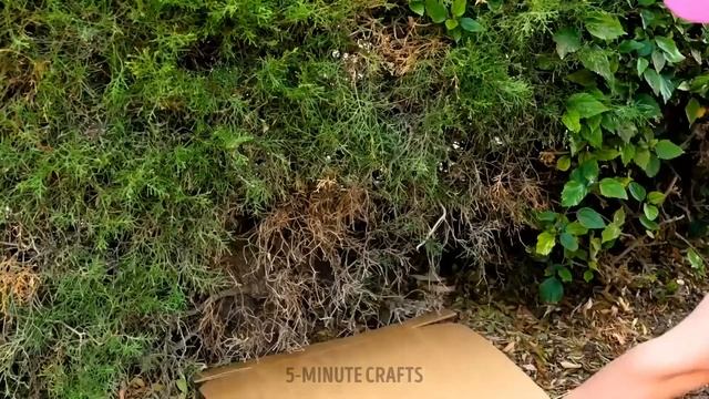 PLANT GROWING HACKS FOR BEGINNERS! Easy Tips That Actually Work ✨ смотреть онлайн