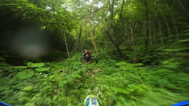 Avantis Koshine 320 2t