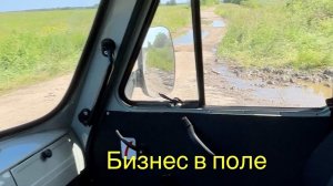 Еду в поле за газоном. Яндекс доставка