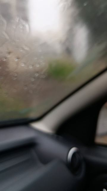 ПОГОДА. Лето 2025