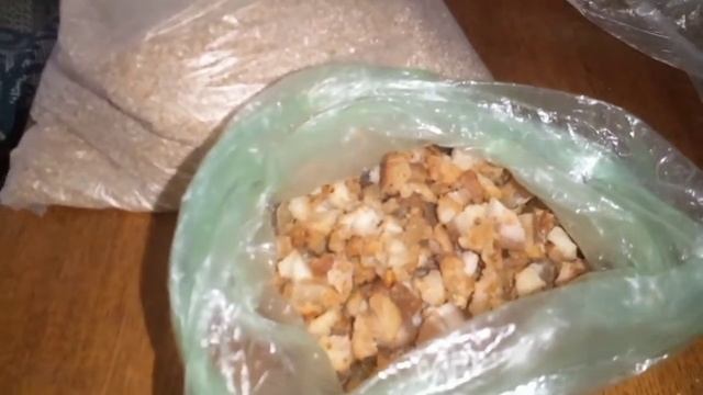 КУРЫ-НЕСУШКИ ЛЕТОМ! ВСЕ советы для новичков!!!  БЕСПЛАТНЫЕ яйца к вашему столу!