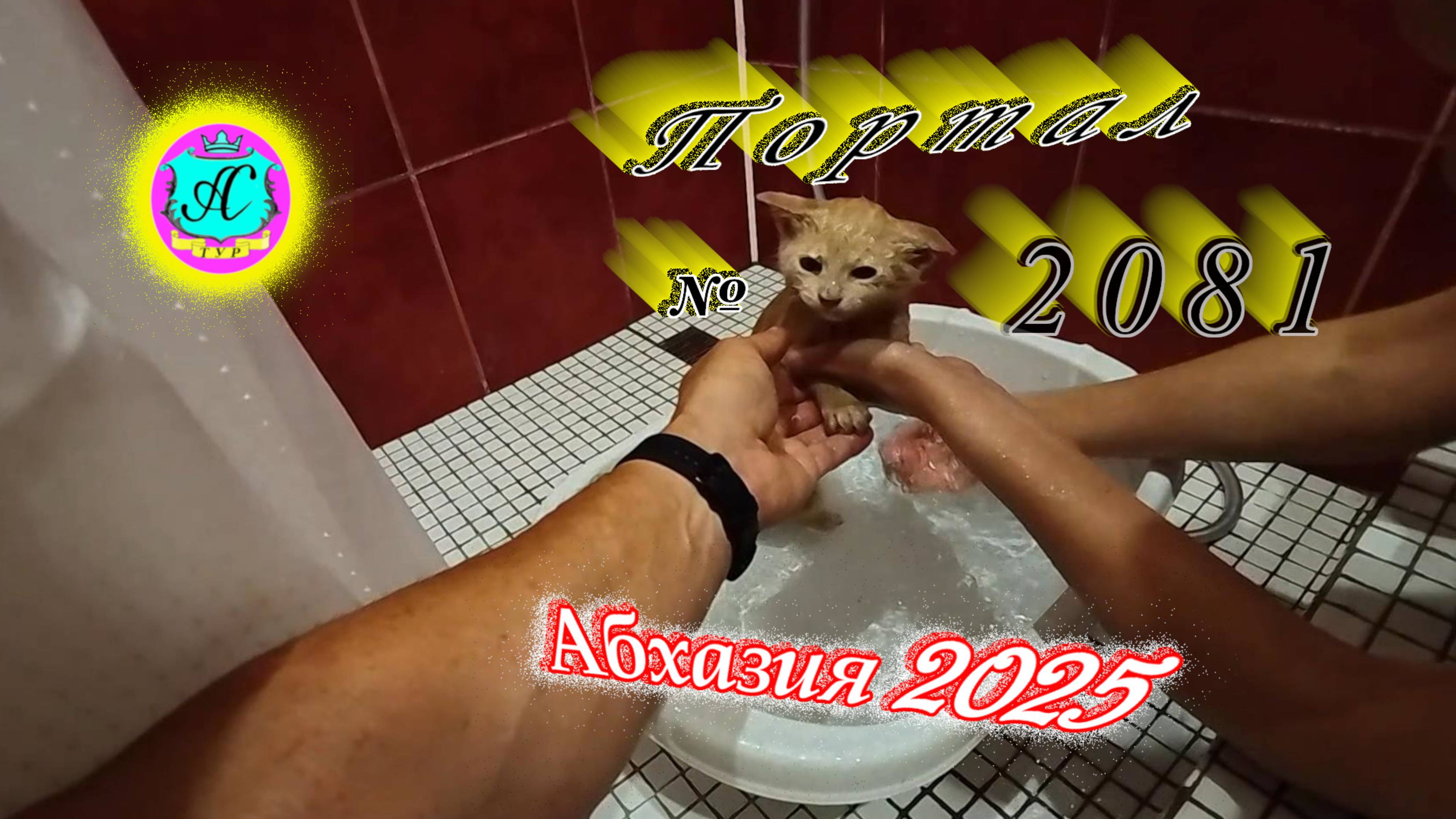 #Абхазия2025🌴 3 июля. Выпуск №2081🌡вчера +26°🌡ночью +18°🐬море +23,7°❗ смотреть онлайн