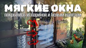 Мягкие окна покрылись испариной и белым налетом