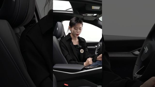 Инструкция Geely Preface смотреть онлайн