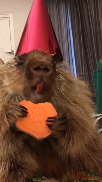 Интересно, о чем он говорит смотреть онлайн