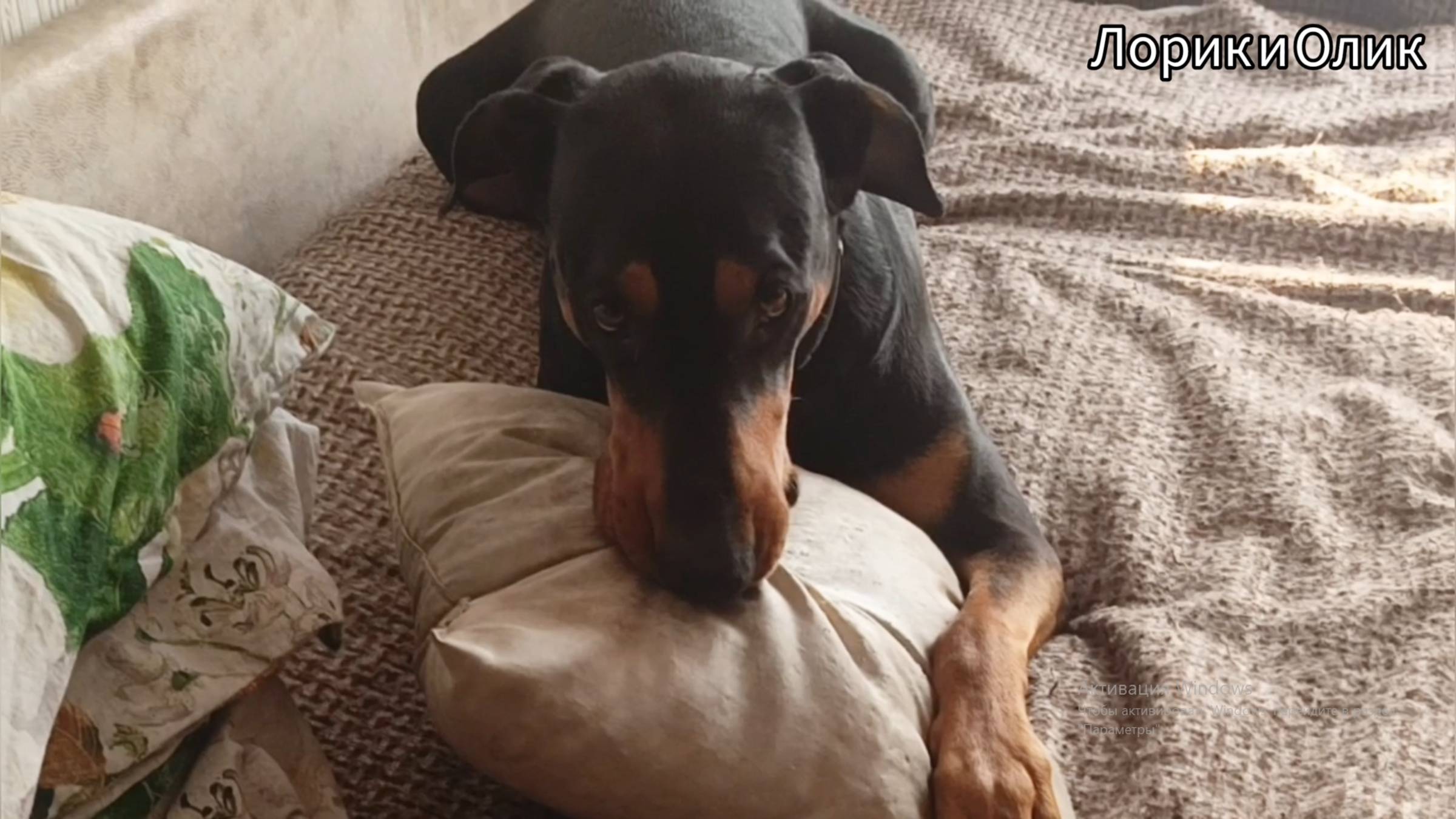 У каждого своя зарядка по утрам. смотреть онлайн