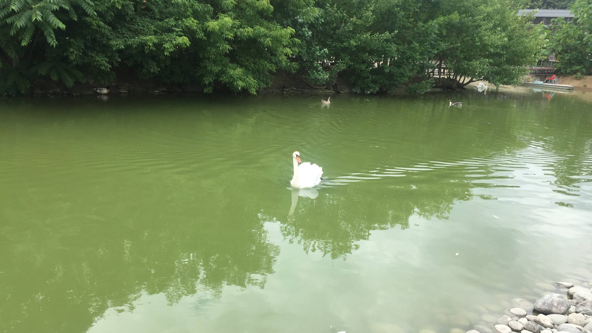 Нальчик. Долинск. Езда на велосипеде по набережной реки Нальчик. Озеро Трек смотреть онлайн