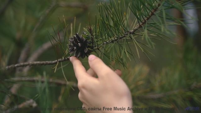 Это не просто видео, это переживание, которое нужно увидеть - Back To The Eighties Throwback Instrum