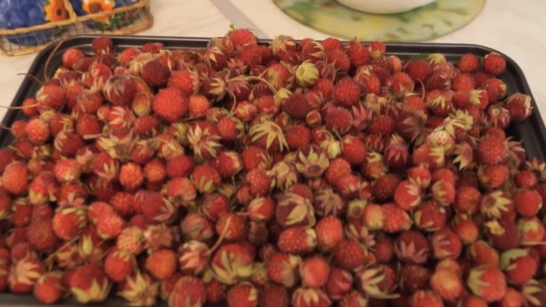 ВКУС ЖИЗНИ.