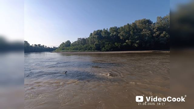 Кубань речка лес хуторок Ковалевка