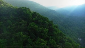 Волны музыки накрывают вместе с облаками и лесами - Cest Merde -- Famous Logs In History -- Live at