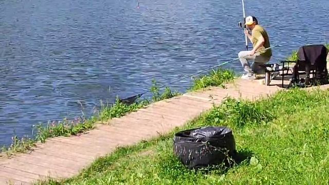 Поимка Линя смотреть онлайн