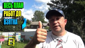 КАК ПОДГОТОВИТЬ ПЧЕЛ К ГЛАВНОМУ МЕДОСБОРУ? ВСЯ ТЕХНОЛОГИЯ РАБОТЫ НА ПАСЕКЕ. ПЧЕЛОВОДСТВО 25-25