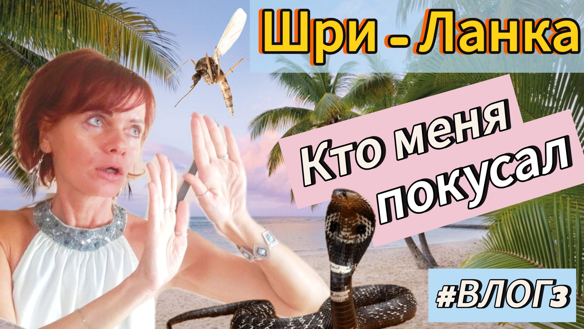 Влог3. Шри-Ланка. Кто меня покусал. смотреть онлайн
