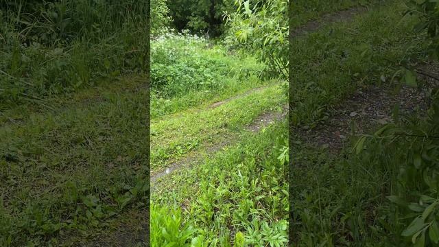 домушко и окрестности.mp4