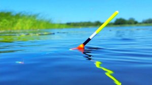 Думал хоть плотвичку половить А ТУТ ПРОСТО КОНИ!!! Рыбалка на поплавок!