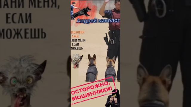 Посылки, домофоны и остальная нечесть. смотреть онлайн