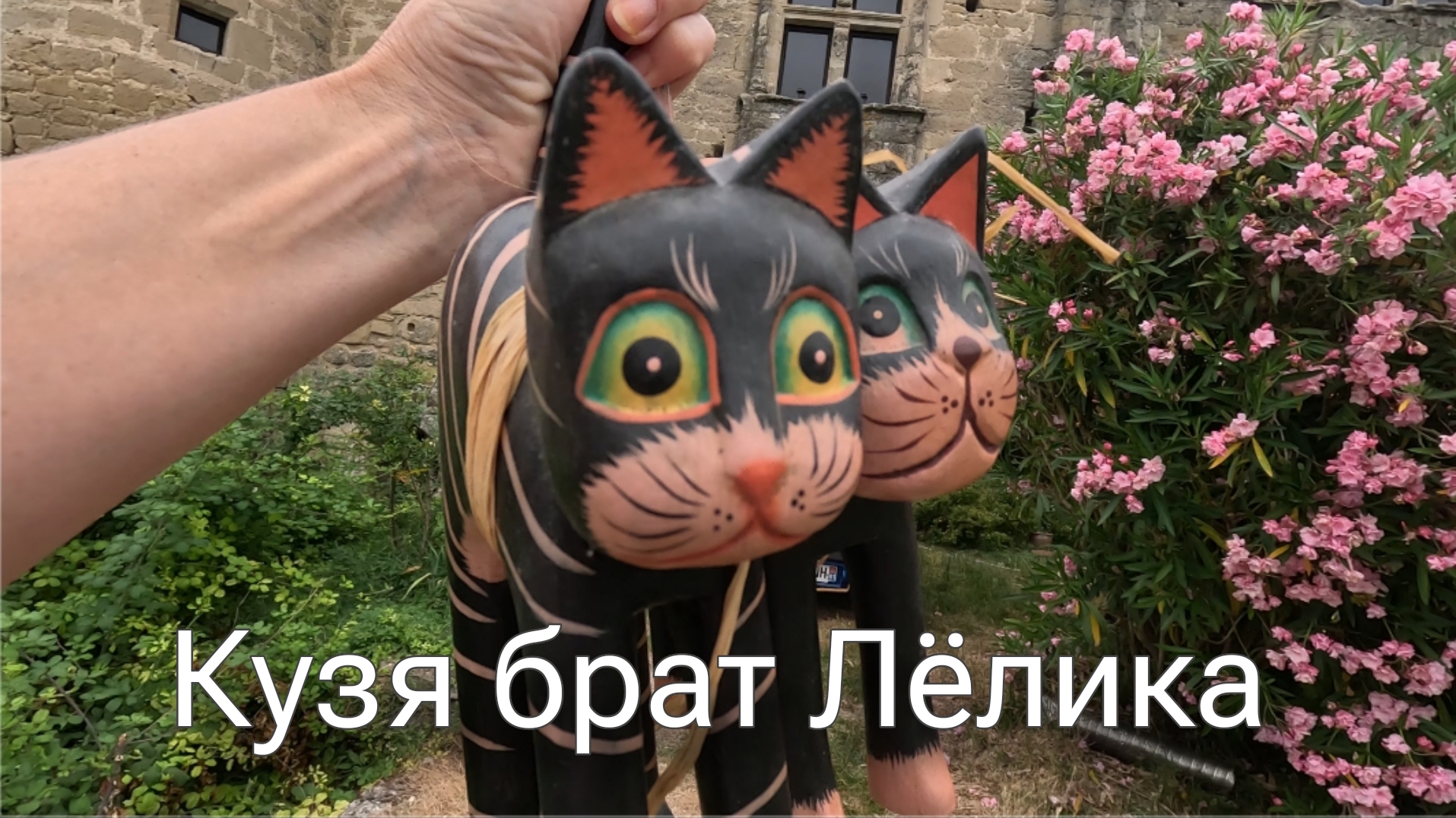 Черный котик. Что купила на распродаже в Лидл. смотреть онлайн