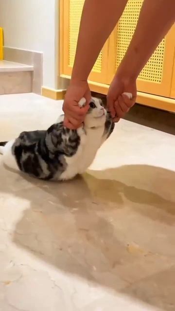 Тащи меня на кухню смотреть онлайн