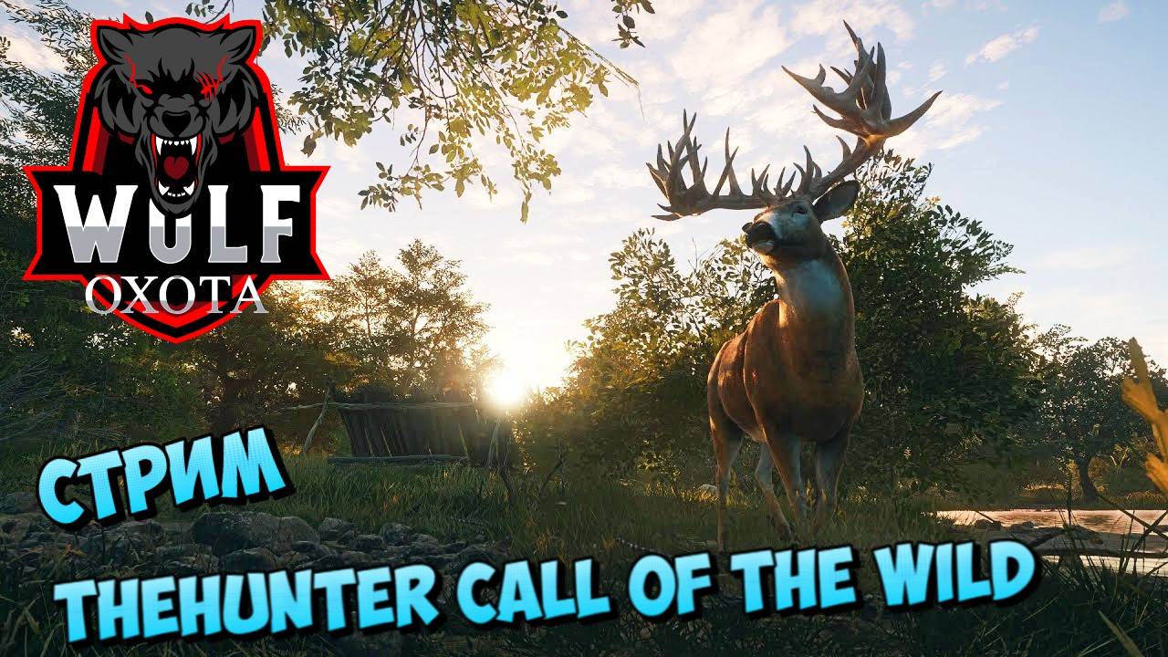 🔴the Hunter Call of the Wild СТРИМ ОХОТА НА ОЛЕНЕЙ 🐺 смотреть онлайн
