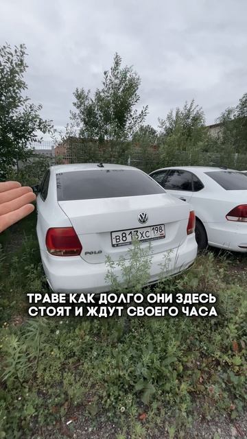 такси - вторая жизнь #clinlicar #automobile #автоподборспб #автоподбормосква смотреть онлайн