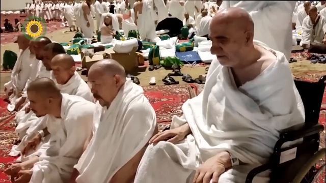 Видеожурнал №106