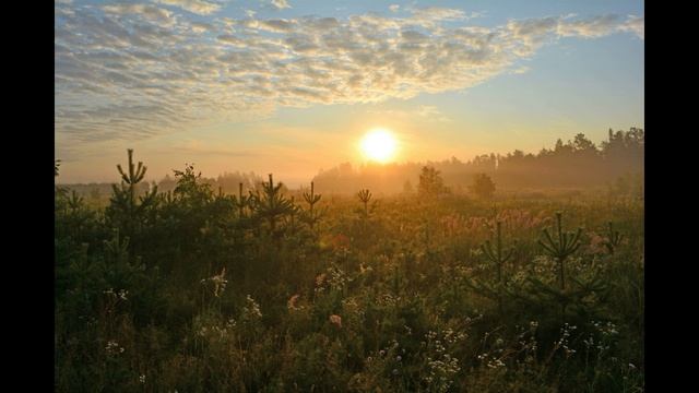 Ах, война | Автор-Павлова Ольга |Отсыл к Окуджаве, Заболоцкому| Сегодня всю ночь выла сирена смотреть онлайн