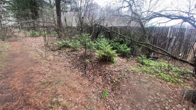 Всё ещё холодно. stop dog, where are you going